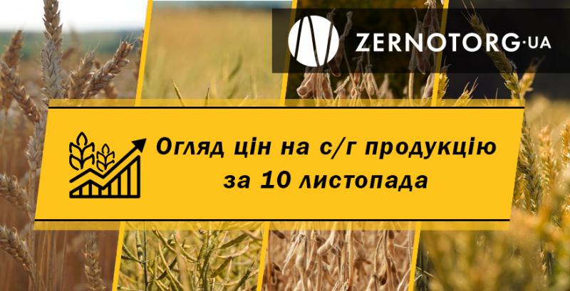 Закупівельні ціни на олійні знизились — огляд за 10 листопада від Zernotorg.ua