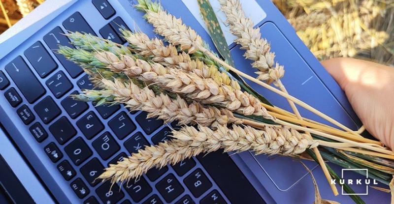 В УЗА закликають не запроваджувати державне регулювання цін на зерно