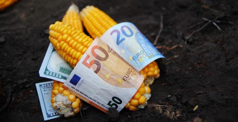 Аналітики розповіли, як змінились світові ціни на зерно після звіту USDA 