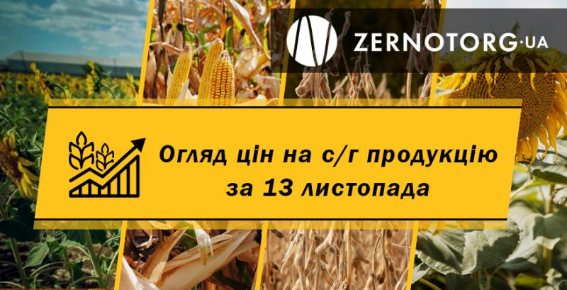В Україні дорожчають кукурудза та ячмінь — огляд цін за 13 листопада від Zernotorg.ua
