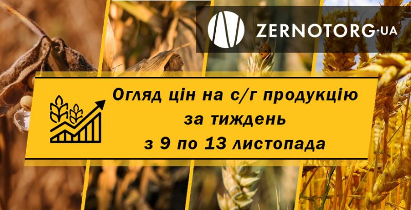 Як змінились ціни на зерно — огляд за тиждень з 9 по 13 листопада від Zernotorg.ua