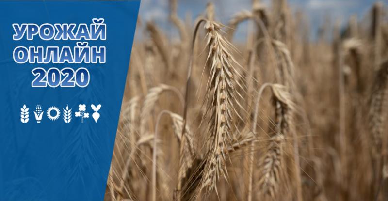 В Україні зібрано 92% урожаю зернових