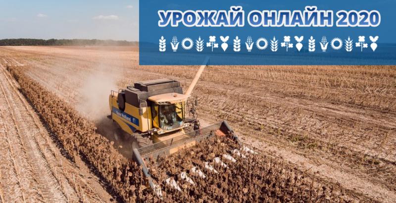 Збір соняшнику в Україні вийшов на фінішну пряму
