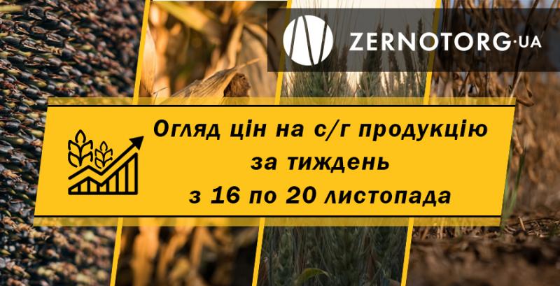 Пшениця, кукурудза, соя — як змінились ціни на с/г культури за тиждень з 16 по 20 листопада