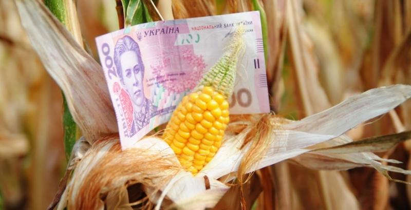 Тенденція зростання цін на фуражне зерно зберігатиметься — прогноз