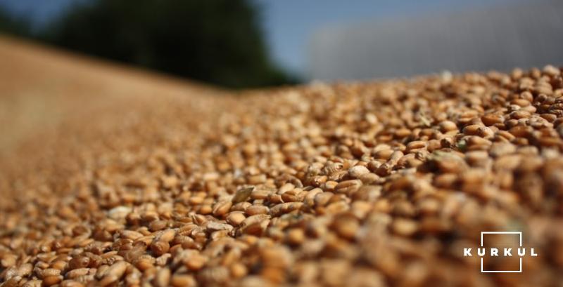 В Україні на 33% зменшилися запаси зерна