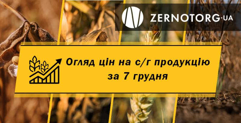 Ціни на с/г продукцію — огляд за 7 грудня від Zernotorg.ua