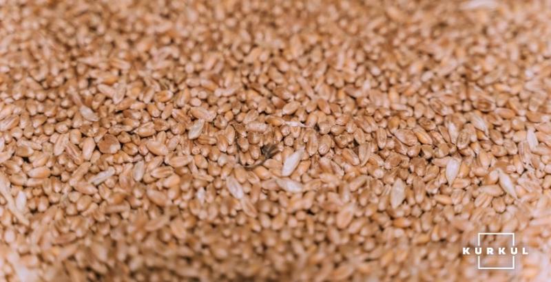 З України вже експортовано 70% дозволеного Меморандумом обсягу пшениці