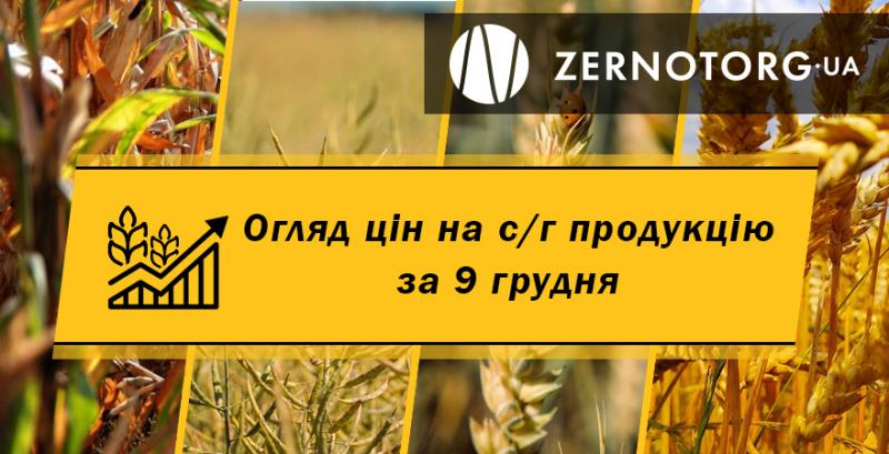 Ціни на зернові та олійні — огляд за 9 грудня від Zernotorg.ua
