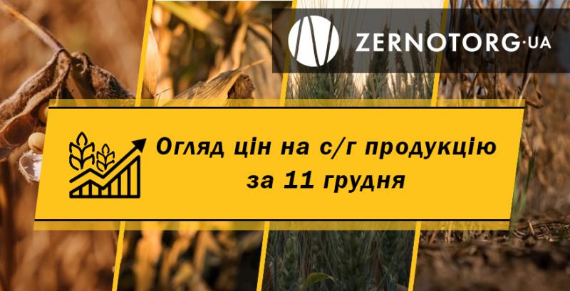 Ціни на зернові та олійні — огляд за 11 грудня від Zernotorg.ua
