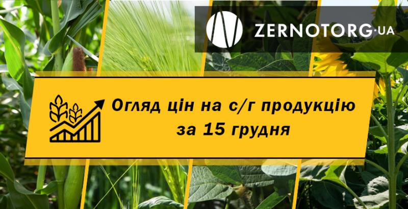 Ціни на зернові та олійні — огляд за 15 грудня від Zernotorg.ua