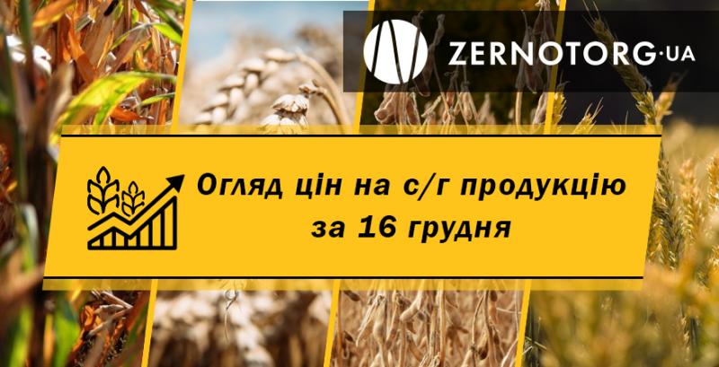 Ціни на с/г продукцію — огляд за 16 грудня від Zernotorg.ua