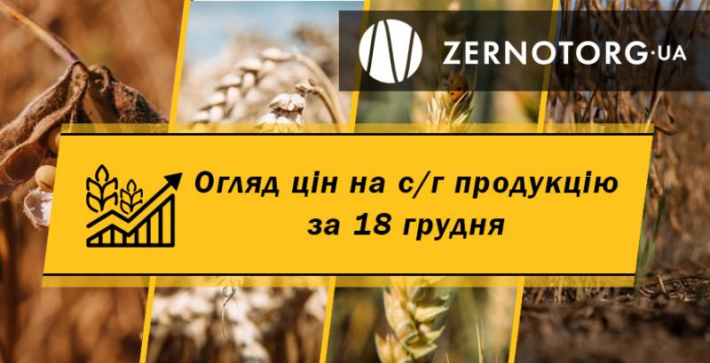 Пшениця продовжує дорожчати — огляд за 18 грудня від Zernotorg.ua