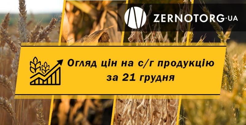 Ціни на с/г продукцію — огляд за 21 грудня від Zernotorg.ua