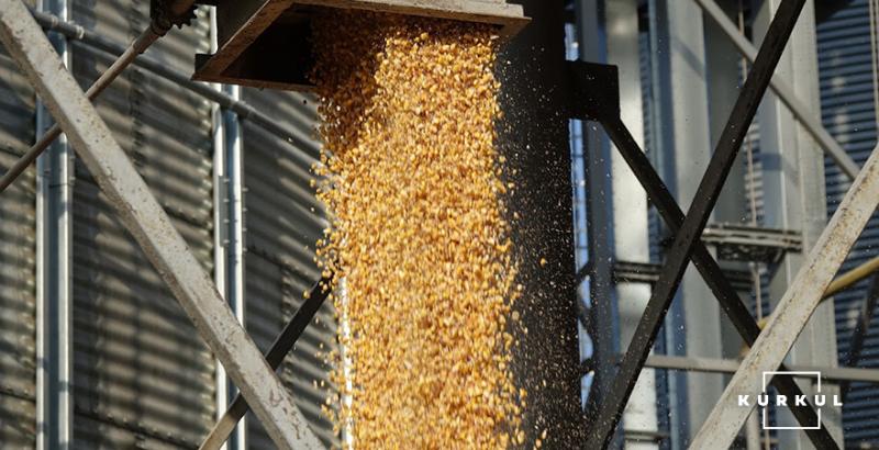 Україна експортувала майже 8 млн тонн кукурудзи