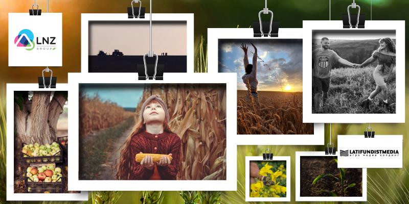 В Україні визначено найкращі аграрні фото 2020 у 11 номінаціях