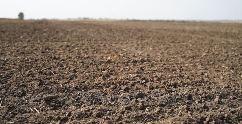 В Україні зросли показники вологості ґрунту