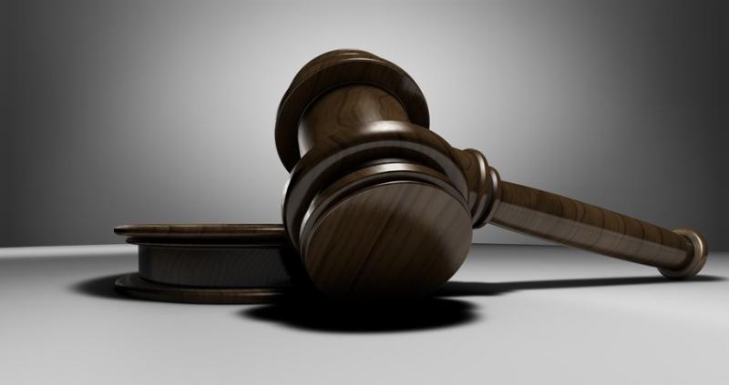 В суді розглядається справа щодо банкрутства ТД Насіння