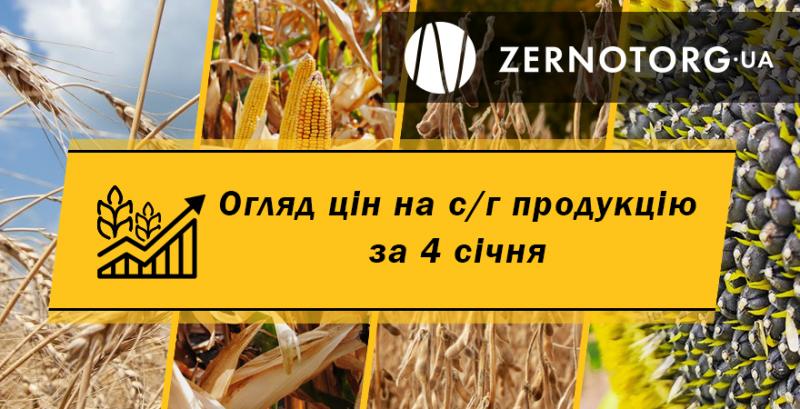 Ціни на зернові та олійні — огляд за 4 січня від Zernotorg.ua