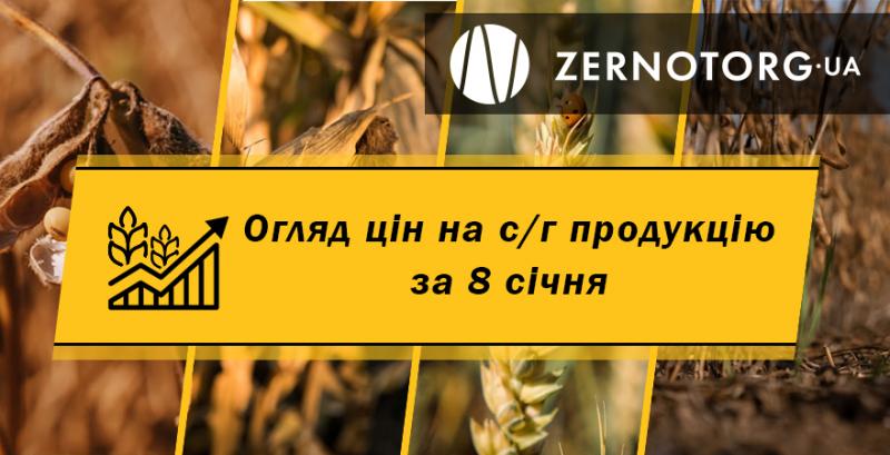 Ціни на с/г продукцію — огляд за 8 січня від Zernotorg.ua