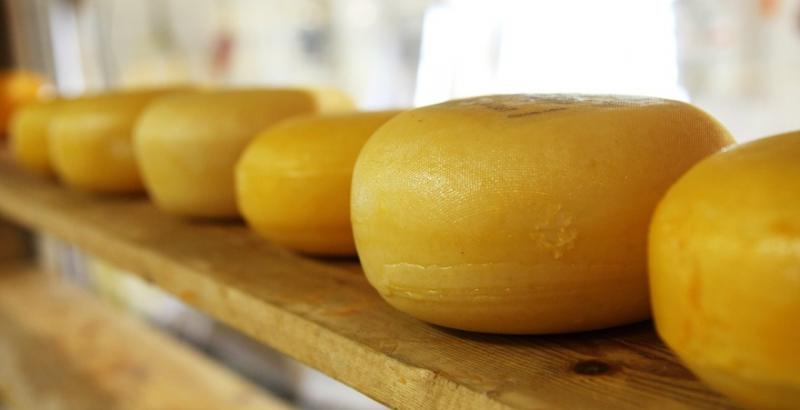 Україна збільшила імпорт сиру у понад 2 рази