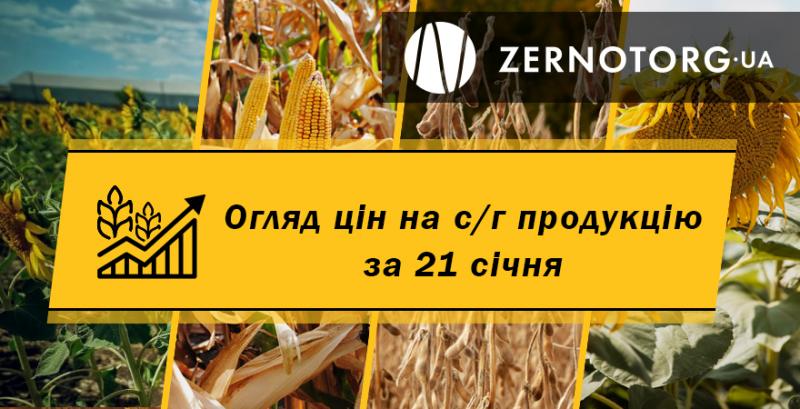 Ціни на с/г продукцію — огляд за 21 січня від Zernotorg.ua