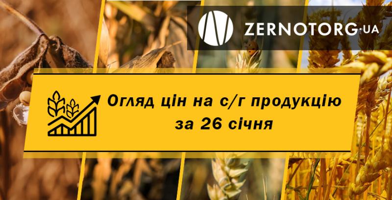 Ціни на зерно продовжують знижуватись — огляд за 26 січня від Zernotorg.ua