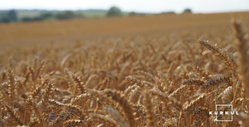 Уряд Росії підвищив експортне мито на пшеницю