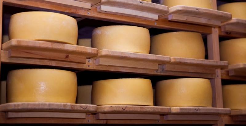 У січні Україна імпортувала майже 3 тисячі т сирів