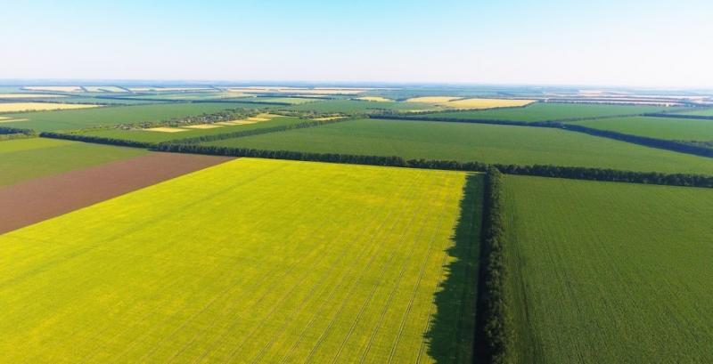 Міністр агрополітики розповів про вартість землі в Україні після відкриття ринку