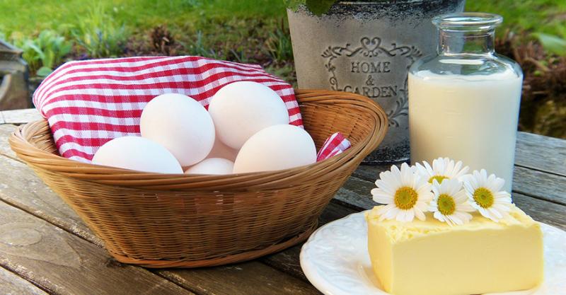 В Україні знизиться виробництво молока та яєць — прогноз