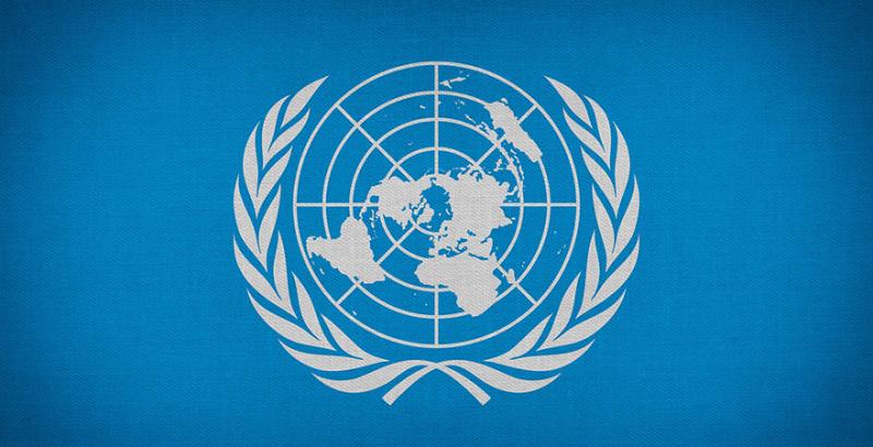 Україна увійшла до Комітету зі Всесвітньої продовольчої безпеки ООН