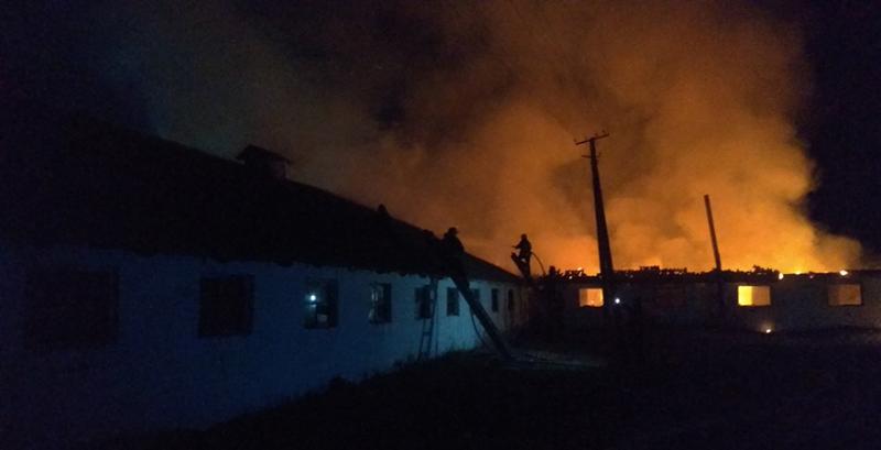На Луганщині від пожежі врятовано 120 голів ВРХ