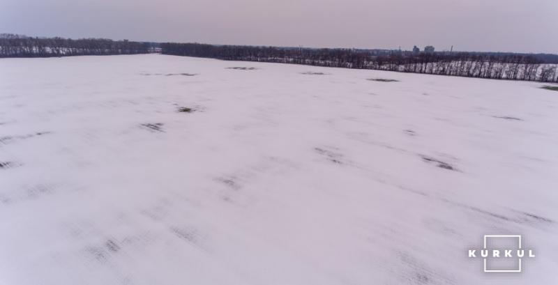 Подекуди в Україні посіви озимих вкрила підвішена льодова кірка
