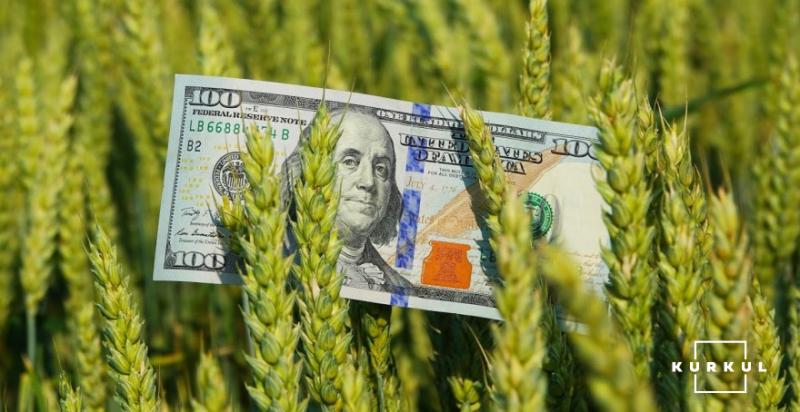Україна щорічно недоотримує $2 млрд через схеми з експортом зерна — заява