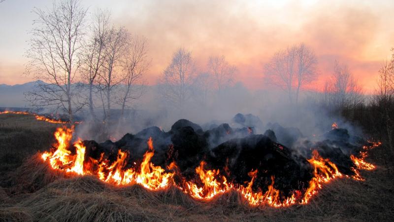 В Україні збільшено штрафи за випалювання полів та лісів