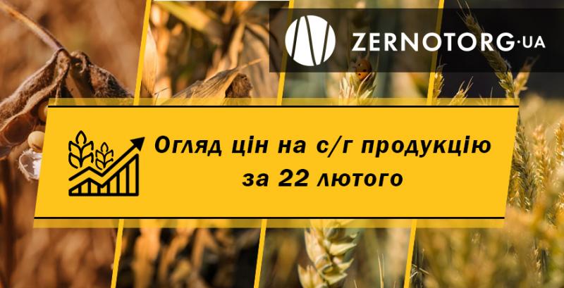 Ціни на зернові та олійні — огляд за 22 лютого від Zernotorg.ua