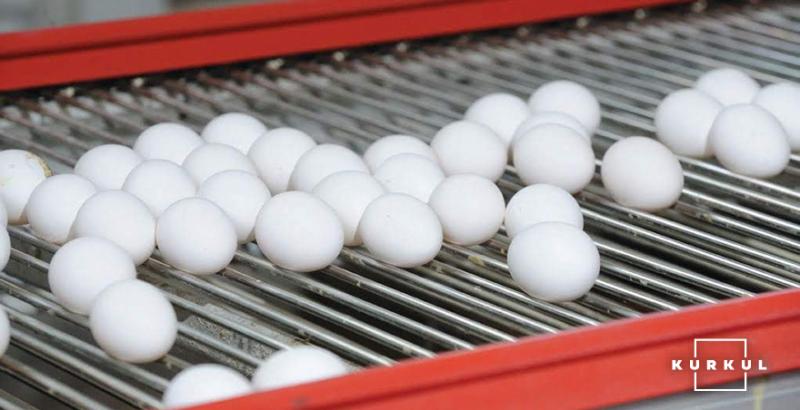 Виробництво яєць скоротилося на понад 16% у січні