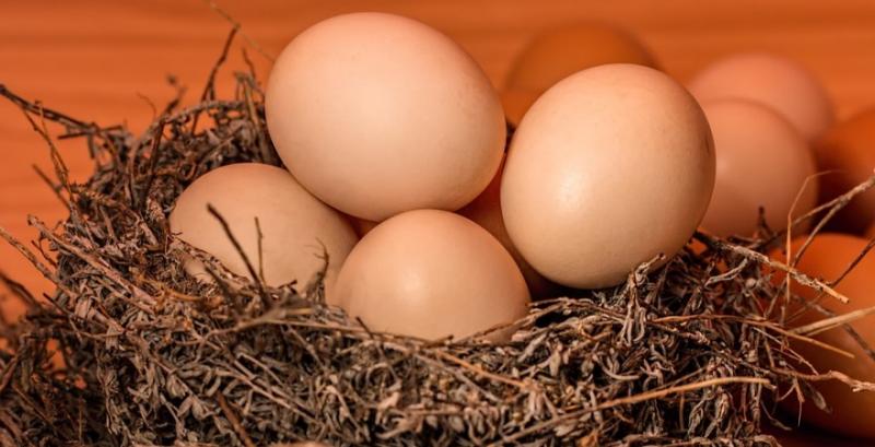 Для українських яєць відкрився новий експортний ринок