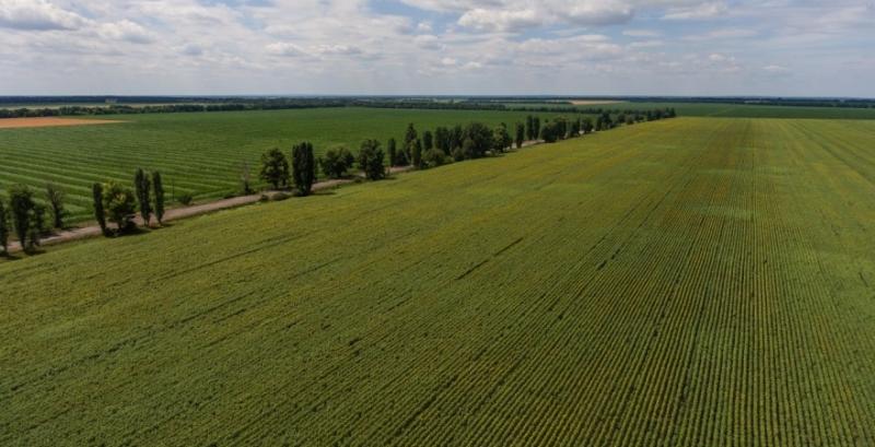 Через тіньовий обробіток земель місцеві бюджети недотримують мільйони гривень — Чайківський
