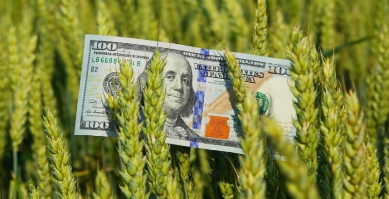 Зменшення ставки ПДВ до 14% призведе до зниження закупівельних цін трейдерами — фермери