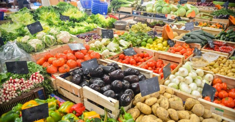 В Україні створюють Національний каталог експортерів харчової органічної продукції