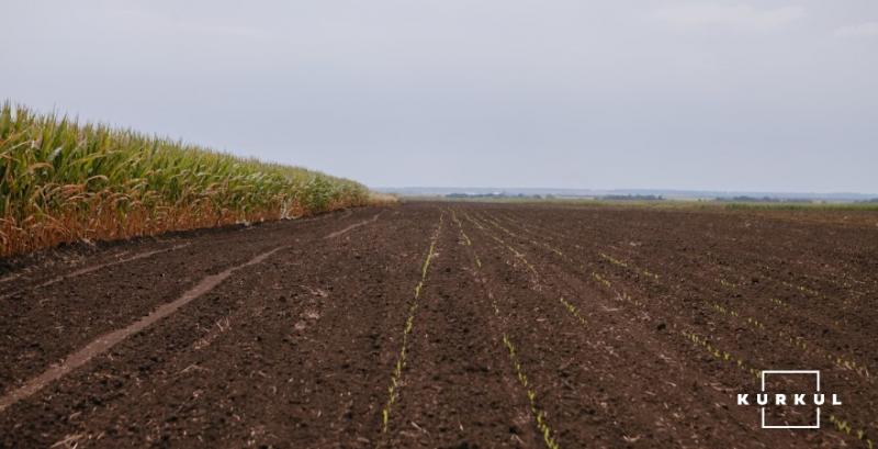 Більше третини кукурудзяного поясу США втратило багатий вуглецем шар ґрунту