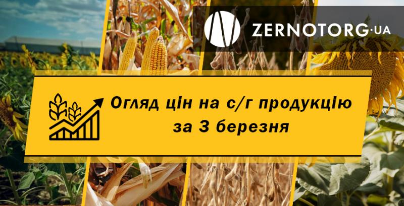 Ціни на зернові та олійні — огляд за 3 березня від Zernotorg.ua