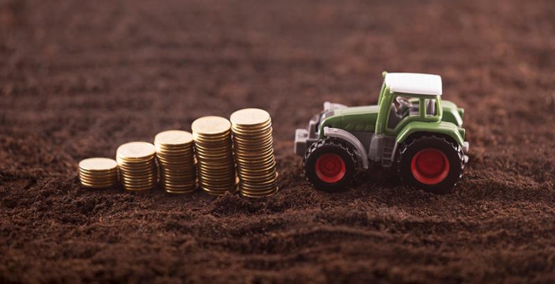 UKRAVIT та Ощадбанк запустили унікальну програму кредитування аграріїв