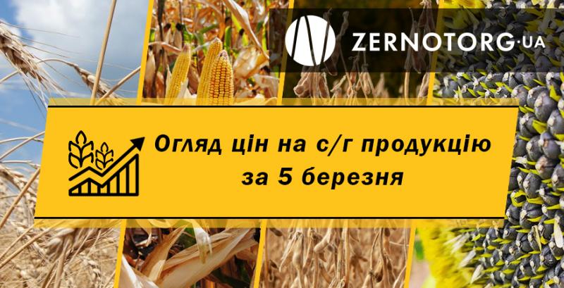 Зернові та олійні продовжують дешевшати  — огляд цін за 5 березня від Zernotorg.ua