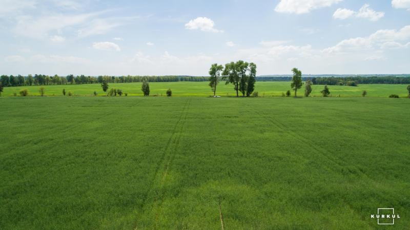 Через тіньові схеми фермер з Київщини може втратити 136 га орендованих земель