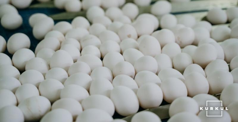 Україна майже втричі скоротила експорт яєць