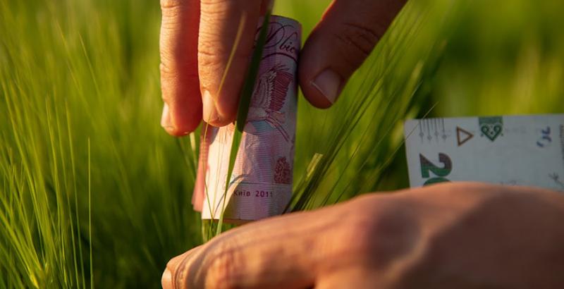 В Україні може втратитися агровиробництво через скорочення держдопомоги  — Тарасов