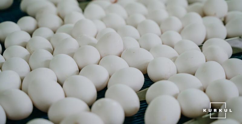 Сільгосппідприємства України скоротили виробництво яєць майже на чверть